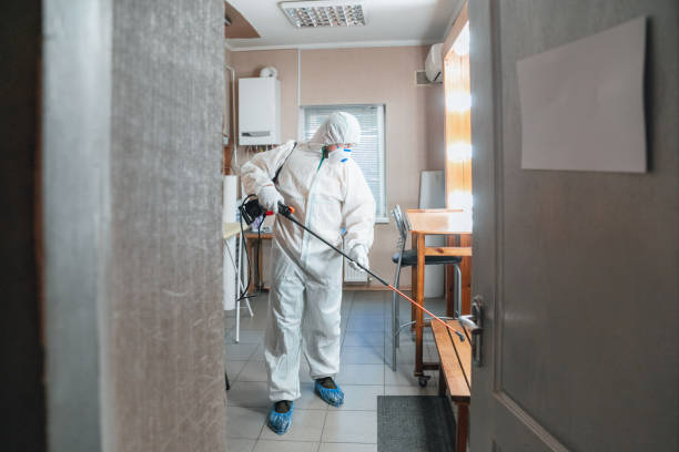 Mold Documentation for Insurance Claims in Brownsville, OR